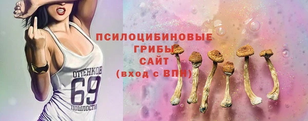 героин Алексин