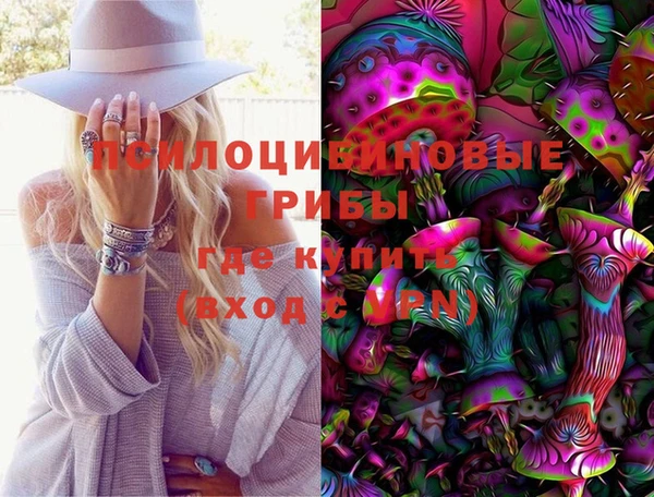 гашик Алексеевка