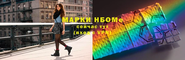 прущие грибы Абинск